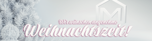 modico-graphics-weihnachten-newsletter-header-min