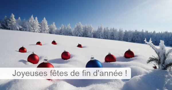 fr_christmas-24