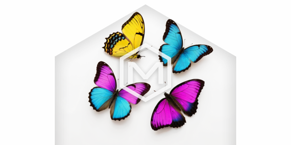 modico-fr-summer-butterflies-03